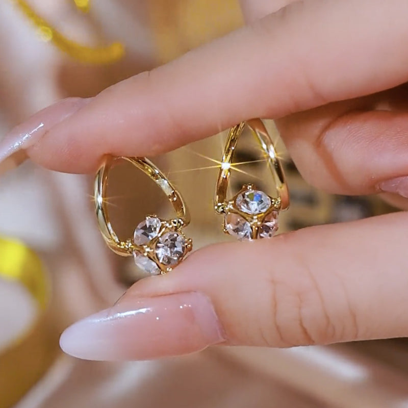 (🎉Limited Time Discount 80% Last Day 🎁)Lymphvity MagneTherapy Germanium Earrings